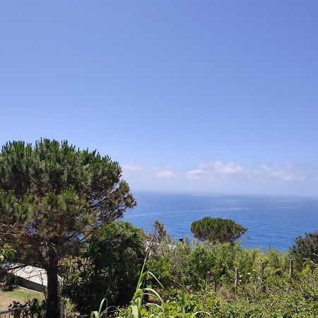 Casa De Somma Apartman Forio di Ischia Kültér fotó