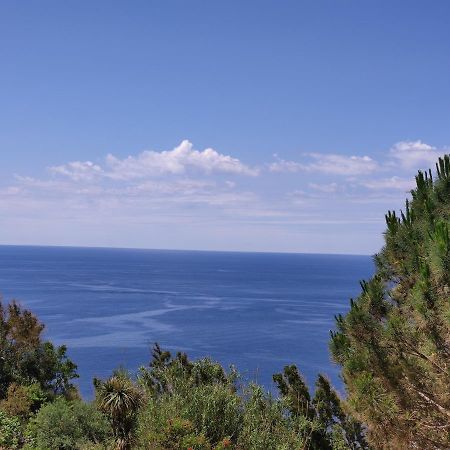 Casa De Somma Apartman Forio di Ischia Kültér fotó