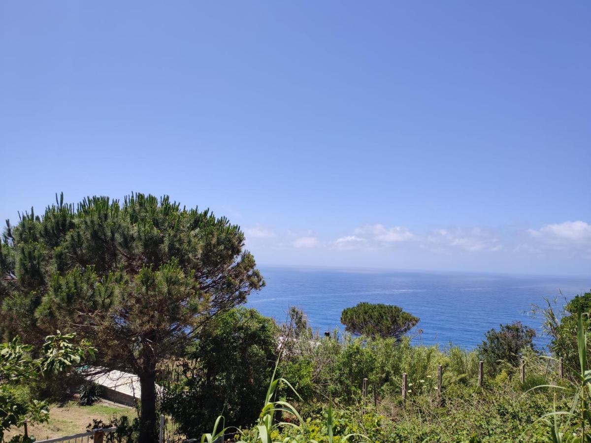 Casa De Somma Apartman Forio di Ischia Kültér fotó